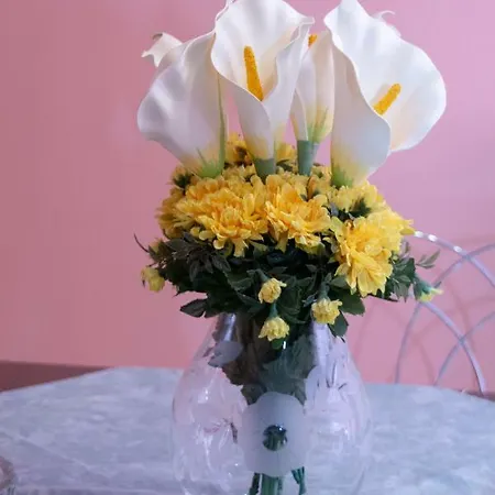 3 Brothers - στο κέντρο των τρικάλων Апартаменты Трикала